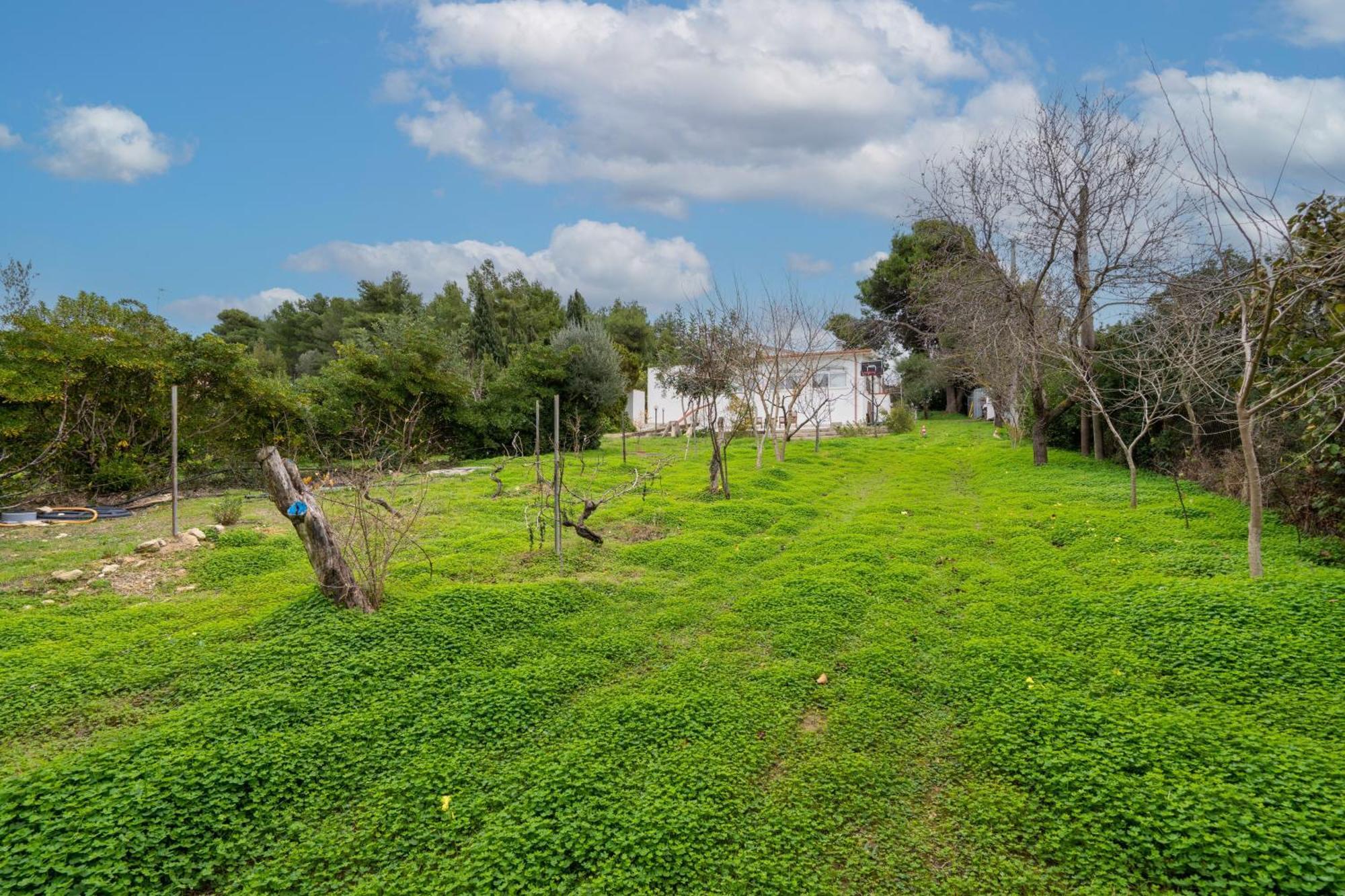 Filoxenia Di Umberto Pensionat Sassari Exteriör bild